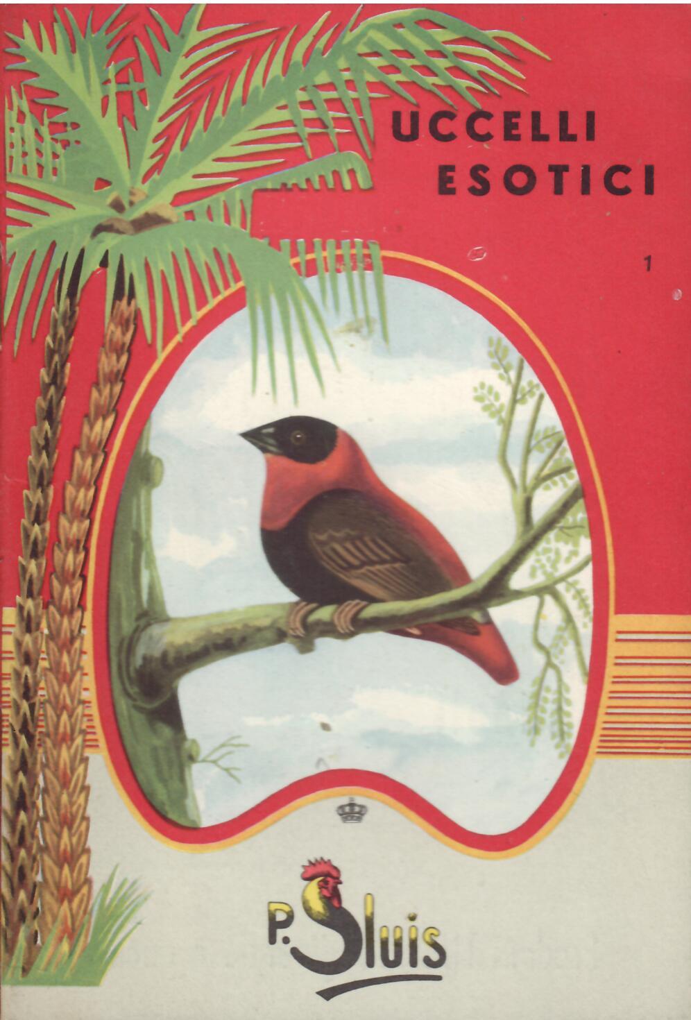 UCCELLI ESOTICI