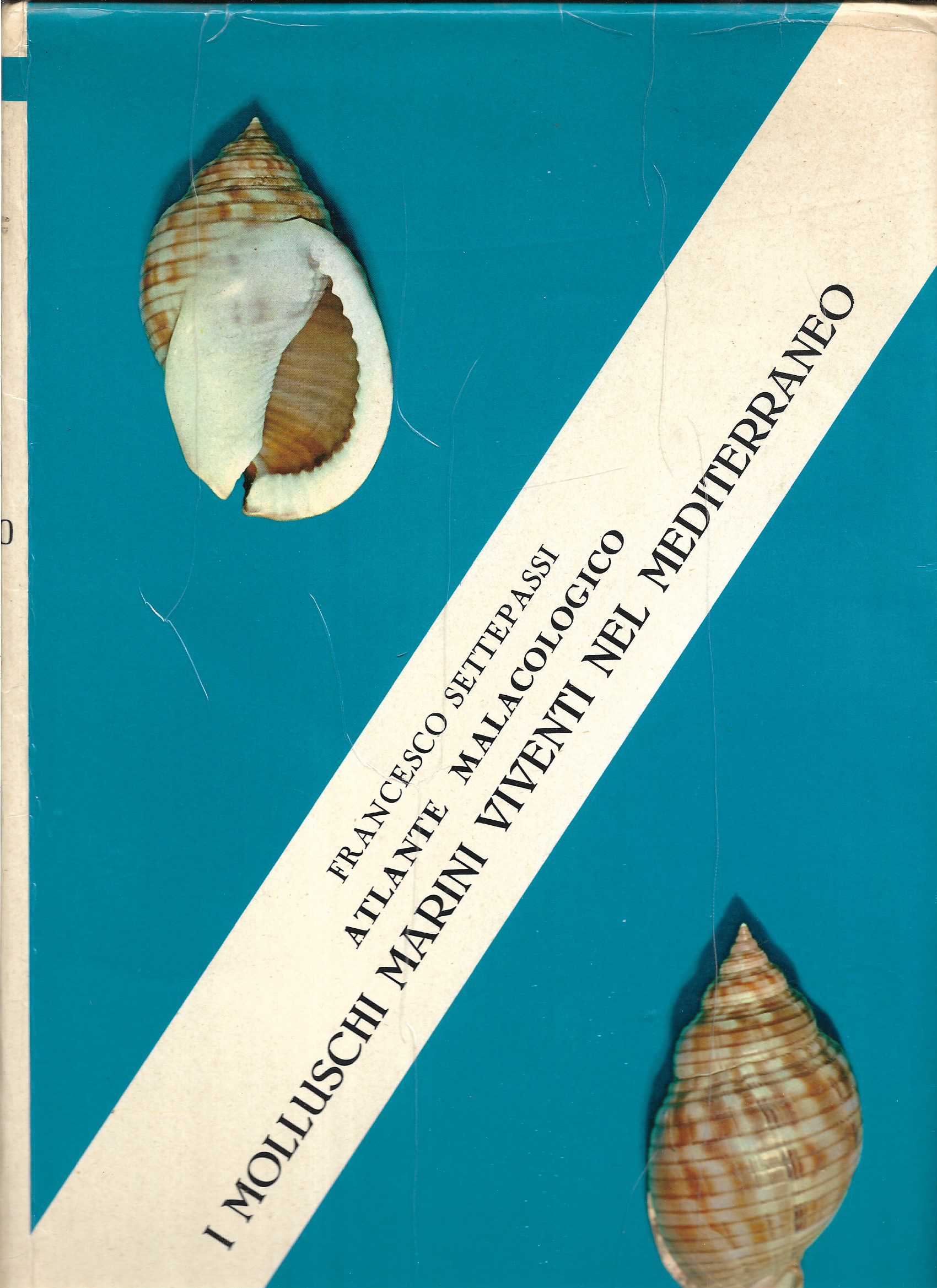 Il trionfo Un romanzo sulla diplomazia moderna
