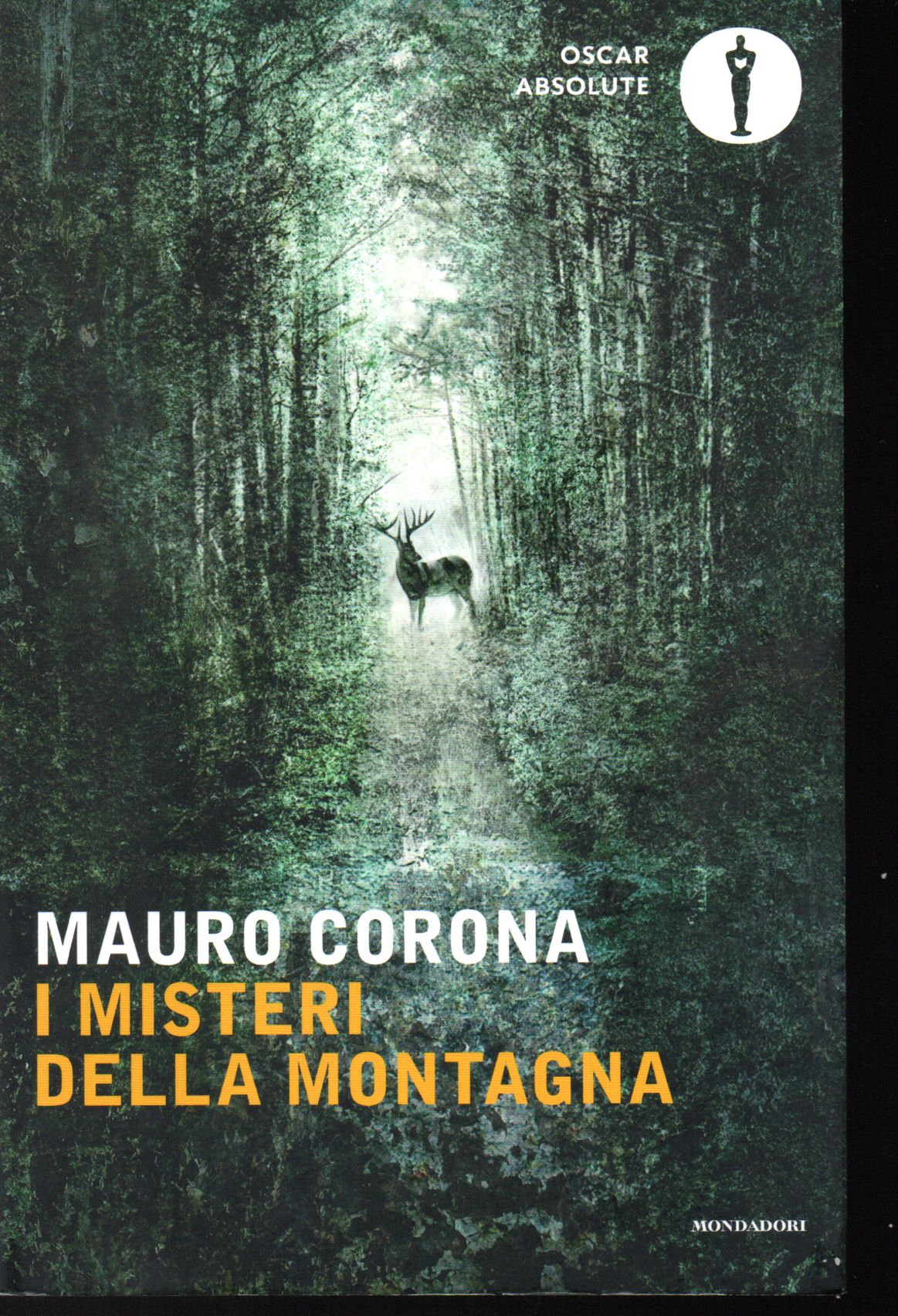 I misteri della montagna