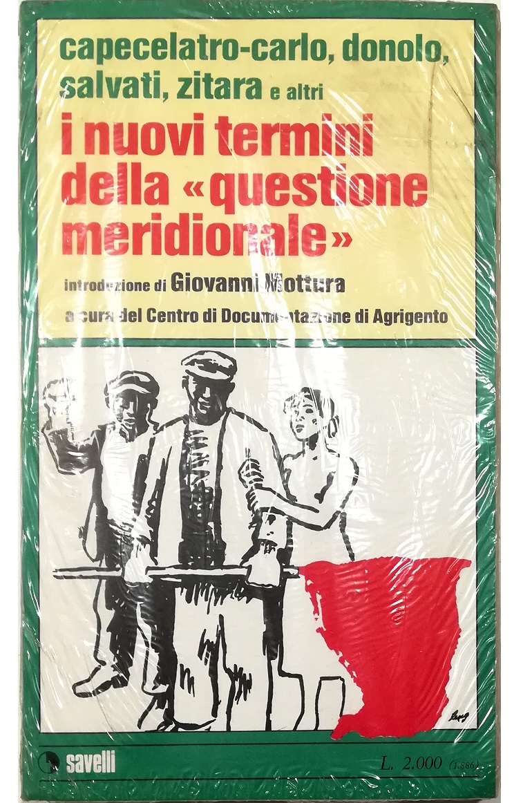 I nuovi termini della «questione meridionale»