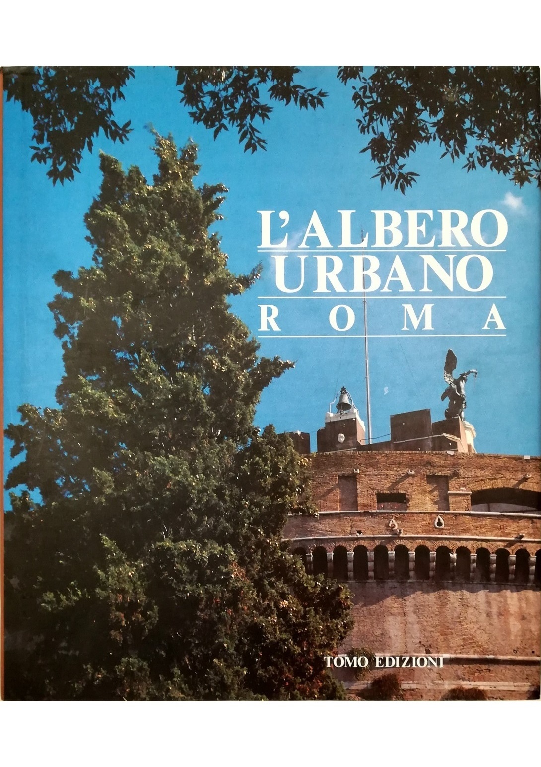 L'albero urbano Roma