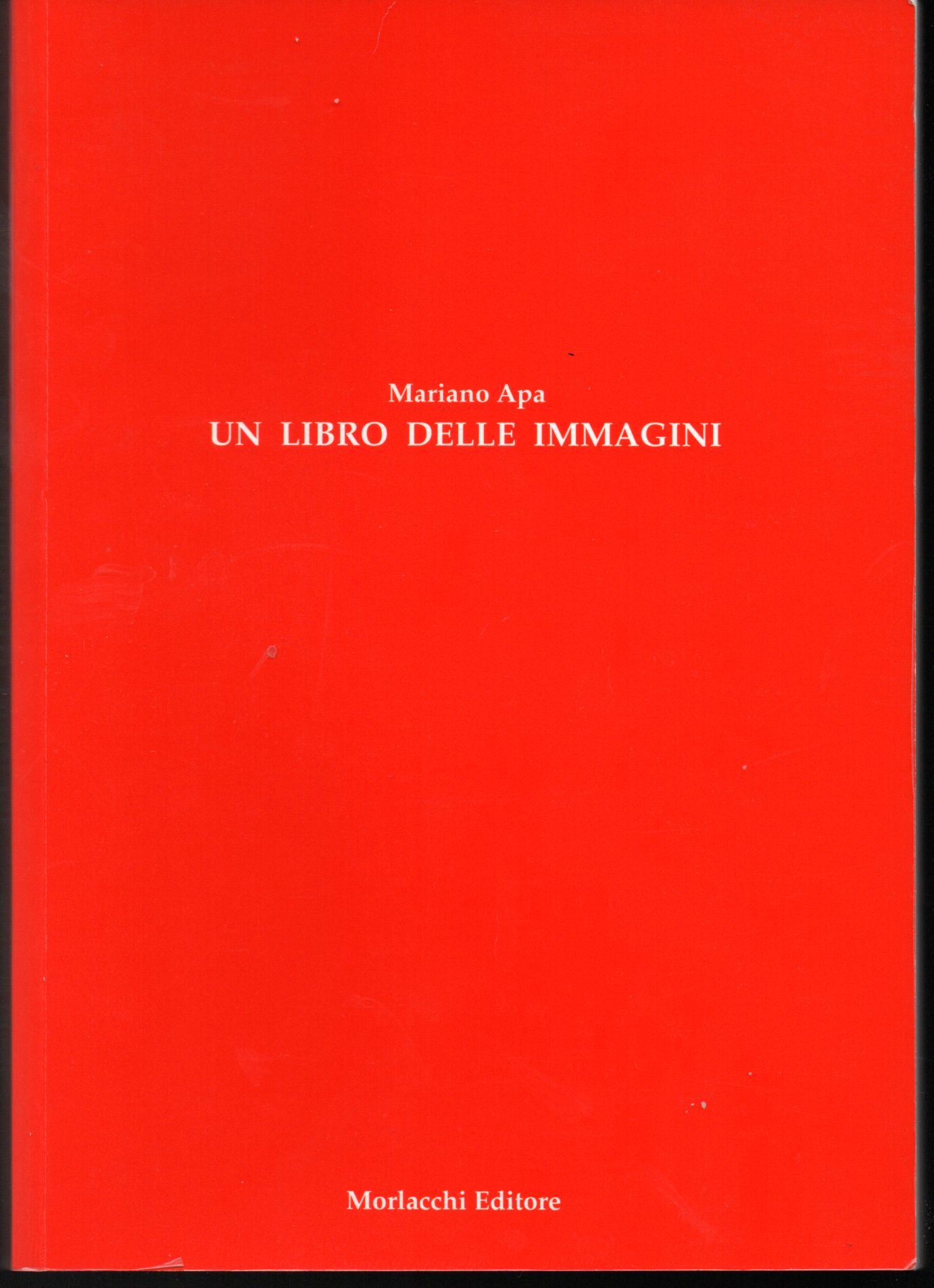 Il tredicesimo apostolo