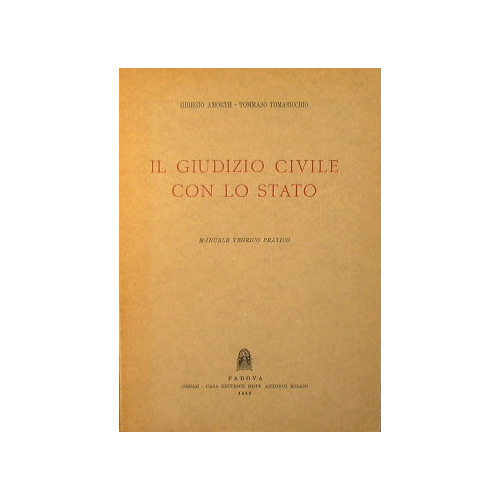 Il giudizio civile con lo Stato