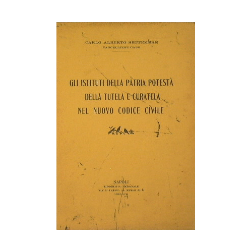 Gli istituti della patria potestà della tutela e curatela nel …
