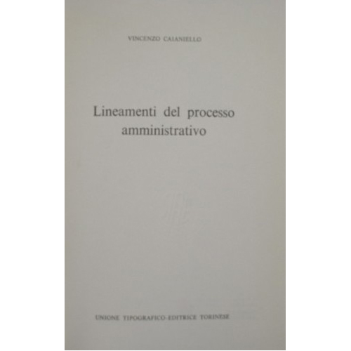 Lineamenti del processo amministrativo