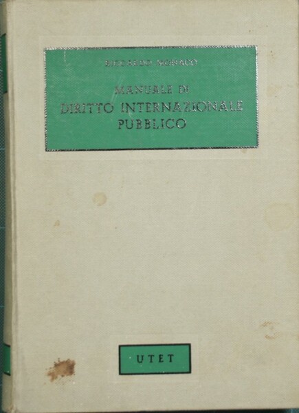 Manuale di diritto internazionale pubblico