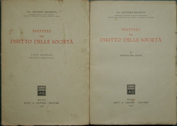 Trattato del diritto delle società