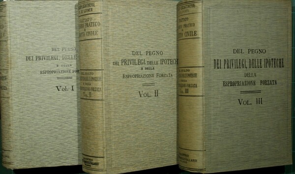 Del pegno. Dei privilegi, delle ipoteche e della espropriazione forzata. …