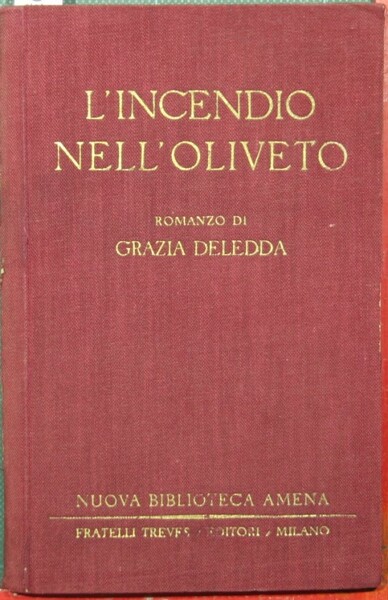 L'incendio nell'oliveto