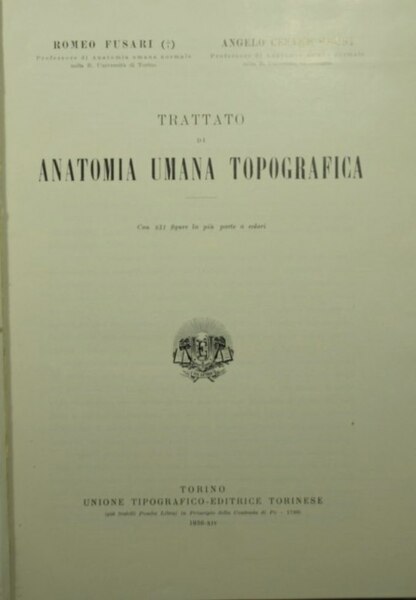 Trattato di anatomia umana topografica