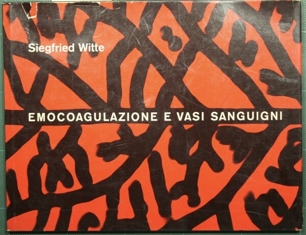 Studio morfologico dei rapporti funzionali fra emocoagulazione e vasi sanguigni