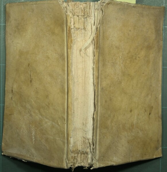 Trattato delle malattie del petto, conosciute sotto il nome di …