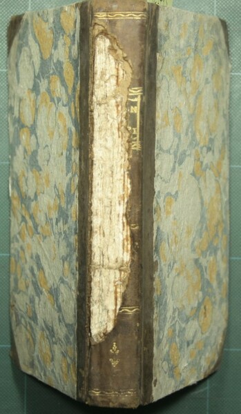 Saggio sulle proprietà medicinali dell'ossigeno