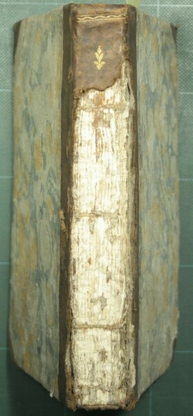 Saggio su la pleuritide biliosa epidemica