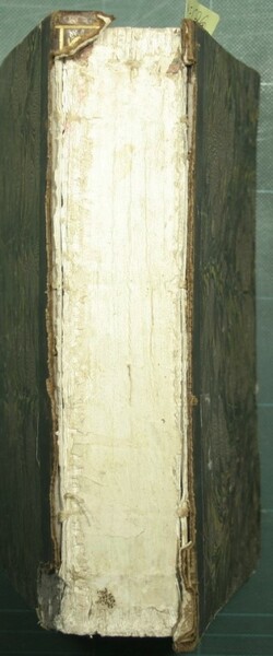 Lezioni verbali di clinica chirurgica