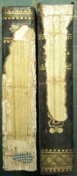 Nuovi elementi di patologia medico-chirurgica o sia Trattato teorico-pratico di …