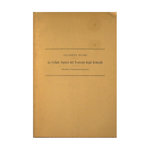 Le Cellule Nutrici del testicolo degli Echinidi