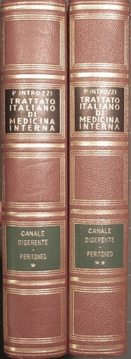 Trattato italiano di medicina interna