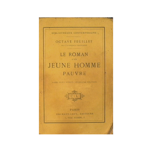 Le roman d'un jeune homme pauvre