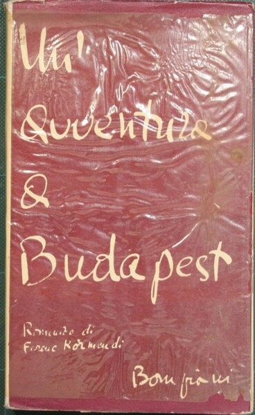 Un'avventura a Budapest