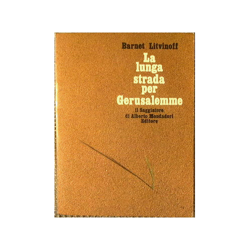 La lunga strada per Gerusalemme