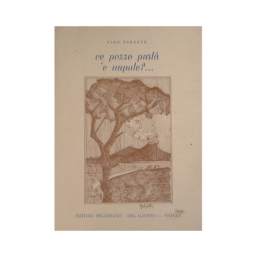 Ve pozzo parlà 'e Napule?…