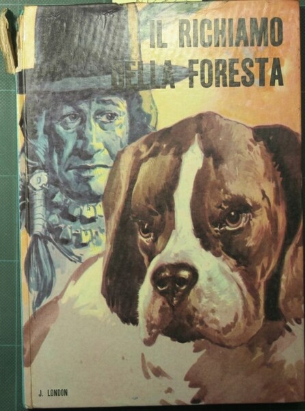 Il richiamo della foresta