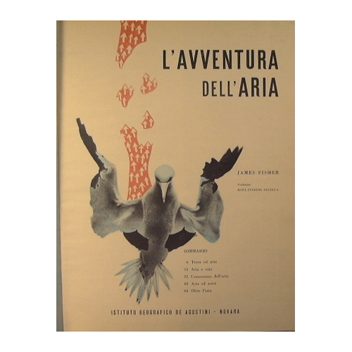 L'avventura dell'aria