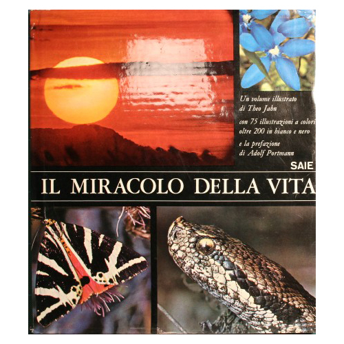 Il miracolo della vita