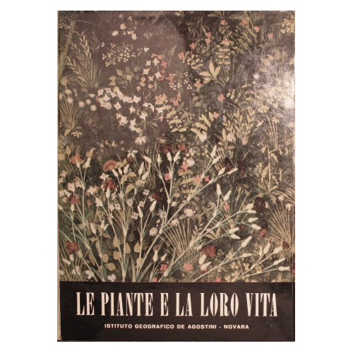 Le piante e la loro vita