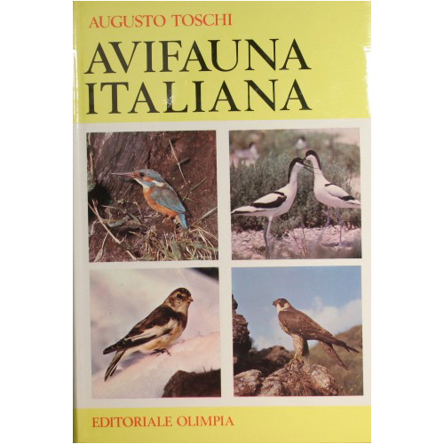 Avifauna italiana