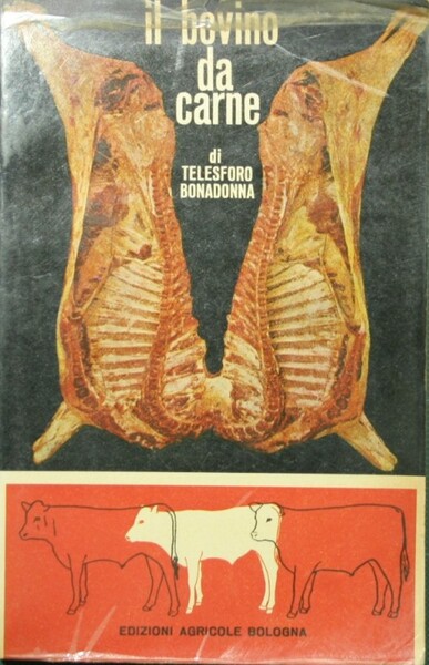 Il bovino da carne