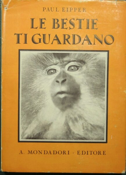 Le bestie ti guardano