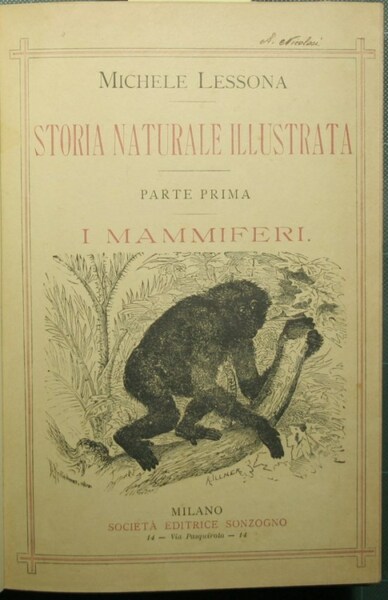Storia naturale illustrata