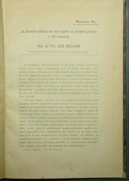 La neocarpia studiata nei suoi rapporti coi fenomeni geologici e …