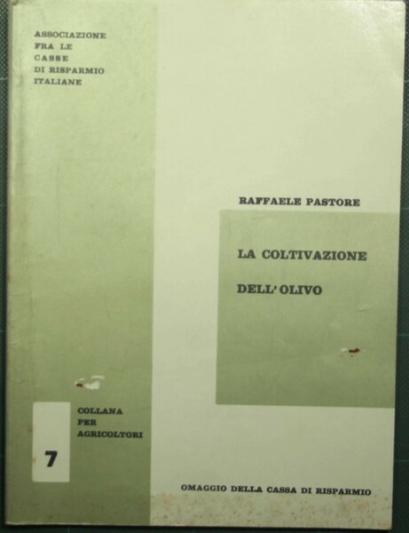 La coltivazione dell'olivo