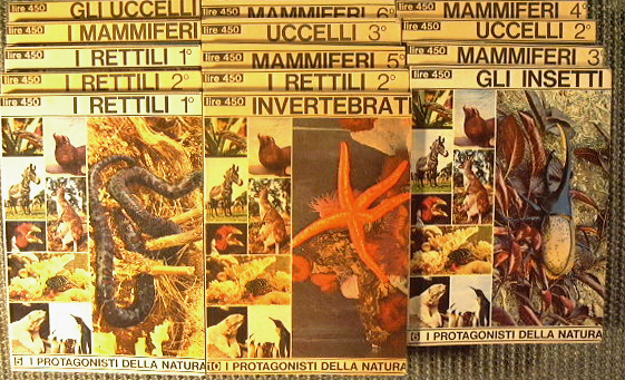 I protagonisti della natura