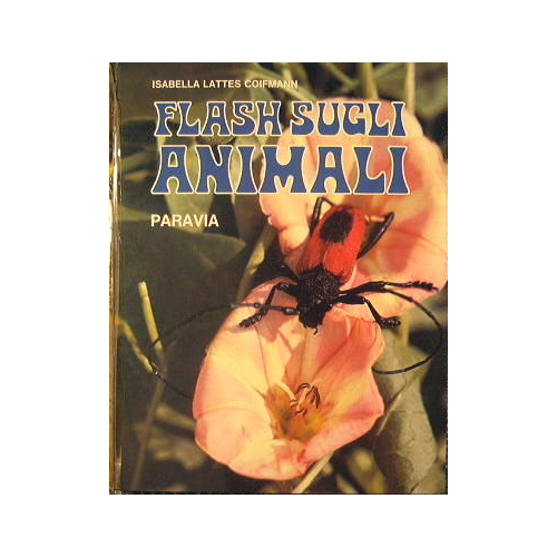 Flash sugli Animali