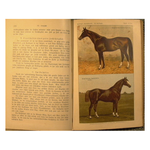 Schlipf's populares Handbuch der Landwirtschaft