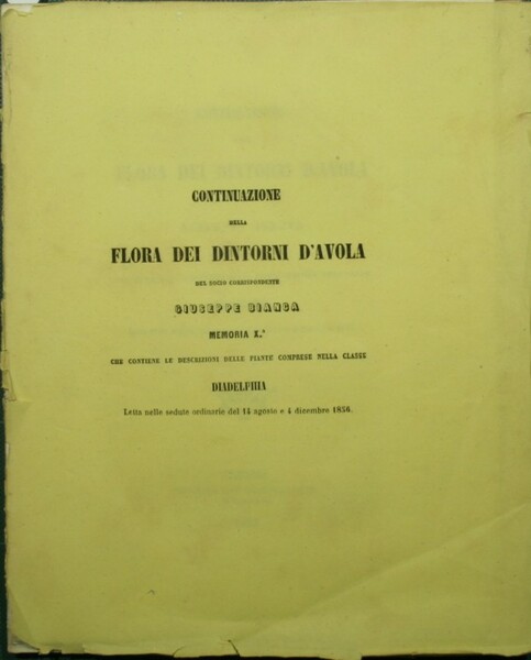 Continuazione della flora dei dintorni d'Avola