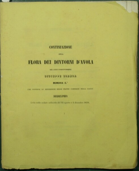 Continuazione della flora dei dintorni d'Avola