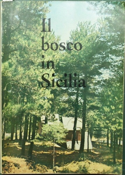 Il bosco in Sicilia