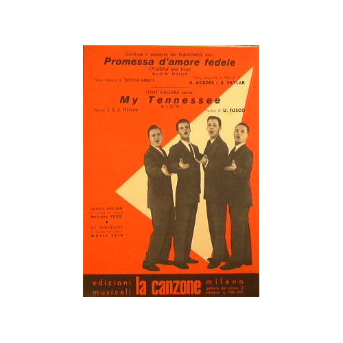 Premessa d'amore fedele ( un successo dei Diamons ,slow rock …