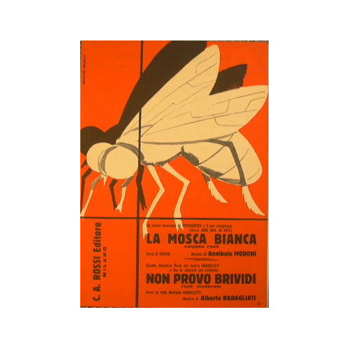 La mosca bianca ( calypso rock ) - Non provo …