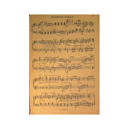 Amor Vittorioso ( intermezzo )