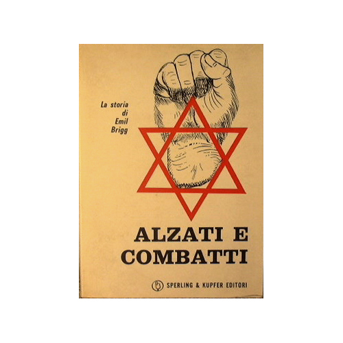 Alzati e combatti. La storia di Emile Brigg