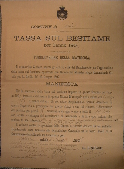 Bando Comune di Carini Tassa sul bestiame per l'anno 1903