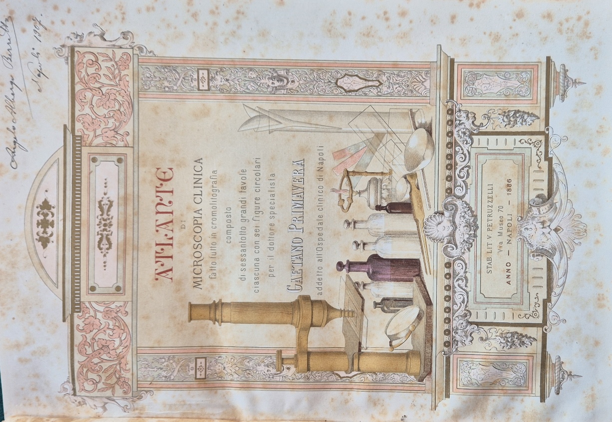 Atlante di microscopia clinica
