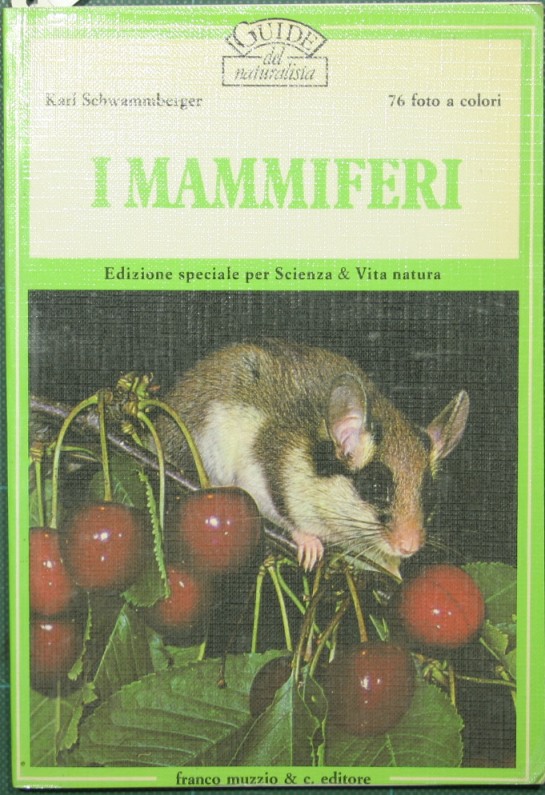 I mammiferi