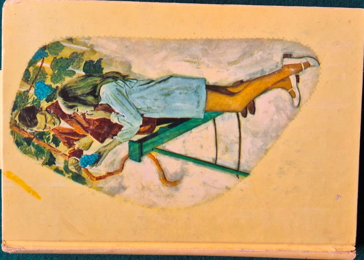 Il giardino a scacchiera